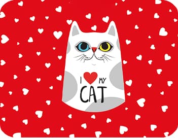 Kedi