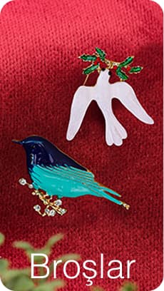 Broş