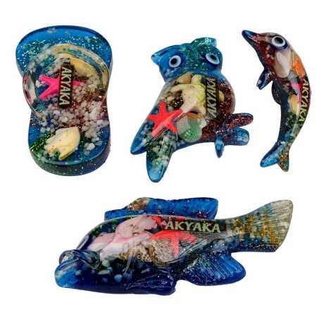 Akyaka Themed Clear Polyester Refrigerator Magnet - 19