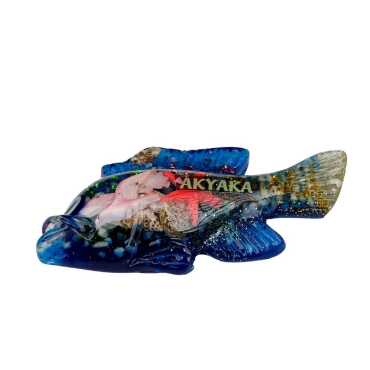 Akyaka Themed Clear Polyester Refrigerator Magnet - 18