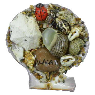 Alacati Themed Sea Shell Souvenir Fridge Magnet - Thumbnail