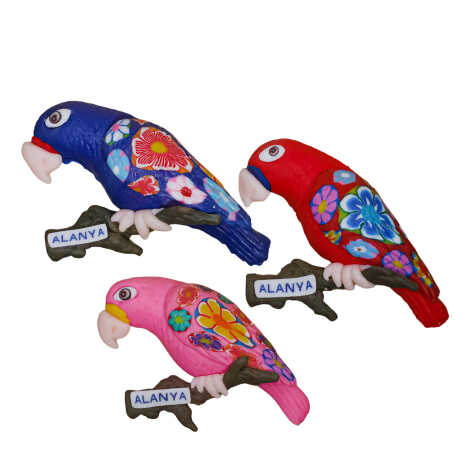 Alanya Temalı Dalda Papağan Fimo Magnet - 2