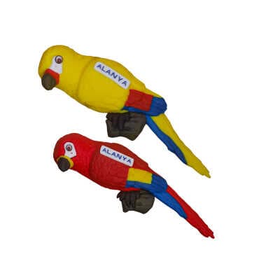Alanya Themed Parrot Fimo Refrigerator Magnet - 2