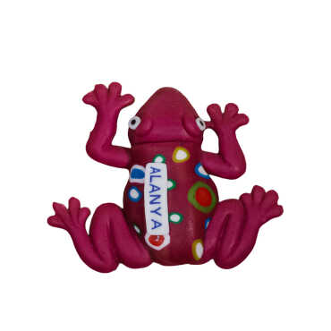 Alanya Themed Frog Fimo Refrigerator Magnet - 5