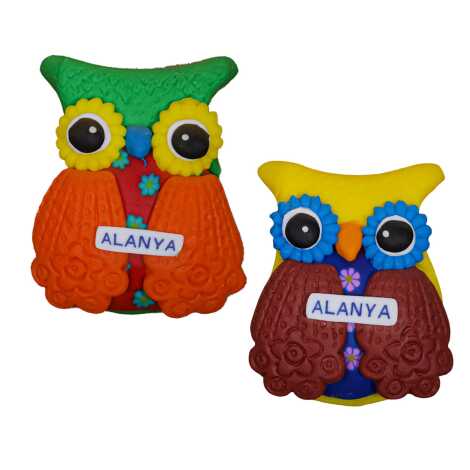 Alanya Themed Owl Fimo Refrigerator Magnet - 2