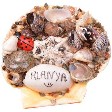 Alanya Themed Sea Shell Souvenir Fridge Magnet - Thumbnail