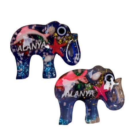 Alanya Themed Transparent Polyester Photo Fridge Magnet - 29