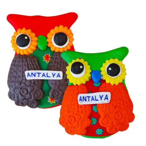 Antalya Temalı Baykuş Fimo Magnet - 3