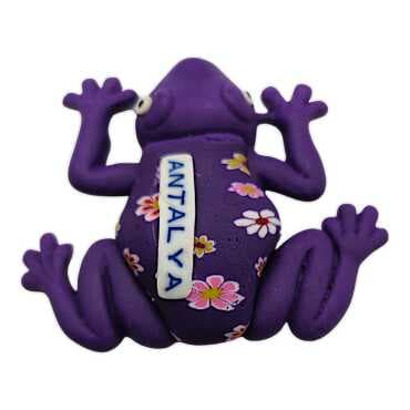 Antalya Themed Frog Fimo Refrigerator Magnet