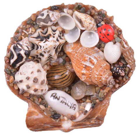 Antalya Themed Sea Shell Souvenir Fridge Magnet