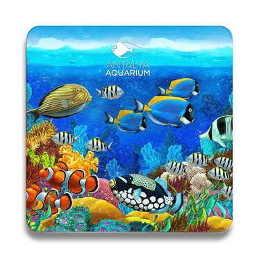 Aquapark Themed Wooden Custom Printed Souvenir Coaster 100 mm - 5