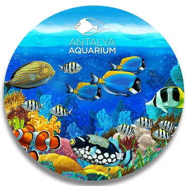 Aquapark Themed Wooden Uv Printed Drink Coaster 97x97 mm