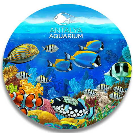 Toptan Aquapark Temalı Ahşap Uv Baskılı Bardakaltı Magnet 97x97 mm - 1