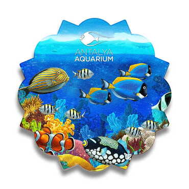 Aquapark Themed Wooden Customised Sun Travel Coaster 100 mm