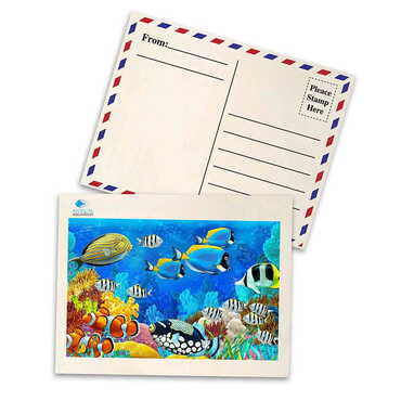 Toptan Aquapark Temalı Myros Ahşap Kartpostal 116x150 mm - Myros