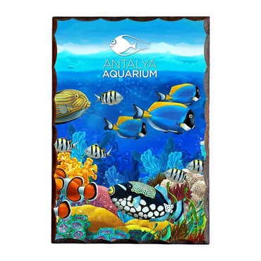 Aquapark Themed Printed Wooden Desktop Decor 95x135 mm