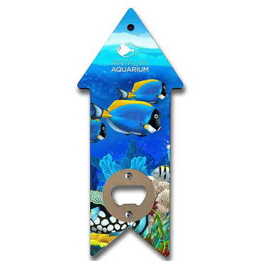 Aquapark Themed Arrow Shaped Printed MDF Wooden Bottle Opener 193x82 mm