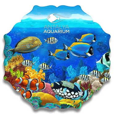 Aquapark Themed Wooden Customised Starry Travel Coaster 100 mm