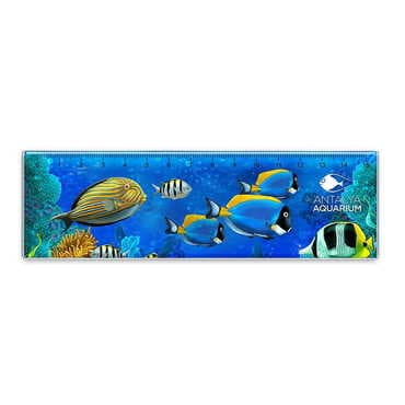Aquapark Themed Epoxy Dome Souvenir Magnetic Ruler Magnet 165x50 mm
