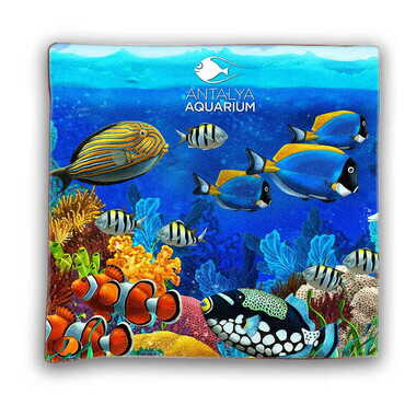 Myros - Aquapark Temalı Myros Dijital Baskı Yastık 400x400 mm