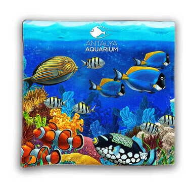 Aquapark Themed Customised Digital Printed Cushion 400x400 mm