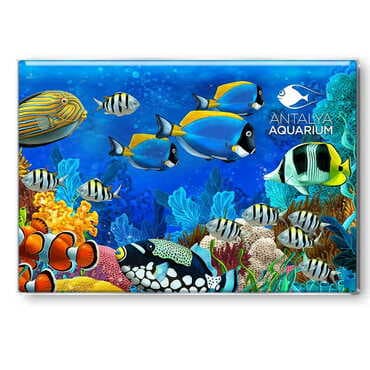 Aquapark Themed Epoxy Dome Rectangle Souvenir Fridge Magnet 80x55 mm