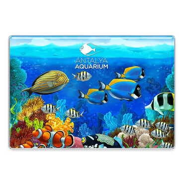 Aquapark Themed Epoxy Dome Rectangular Souvenir Fridge Magnet 95x65 mm