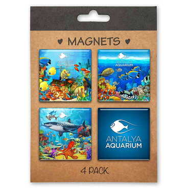 Aquapark Themed Epoxy Dome Souvenir Fridge Magnet Set of 4 pcs 40x40 mm each