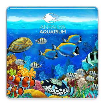 Toptan Aquapark Temalı Myros Kare Magnet 65x65 mm - Myros