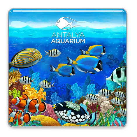 Toptan Aquapark Temalı Myros Kare Magnet 65x65 mm - 1