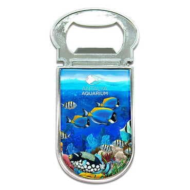 Aquapark Themed Metal Magnetic Small Opener 30x77 mm