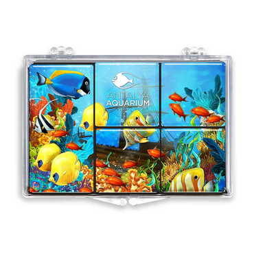 Aquapark Themed Epoxy Dome Souvenir Fridge Magnet Set of 5 pcs