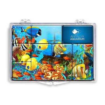Myros - Aquapark Temalı Myros Kutulu Magnet Seti Sekizli