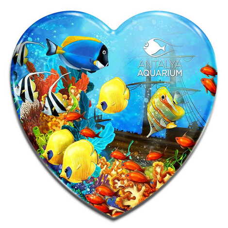 Toptan Aquapark Temalı Myros Magnet 40x37 mm - 1