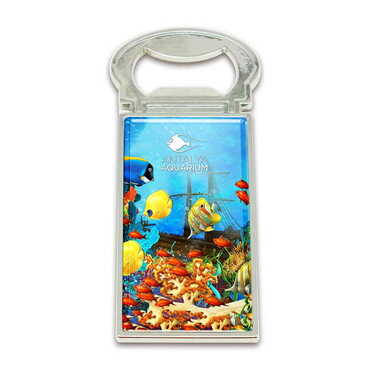 Aquapark Themed Metal Rectangle Magnetic Opener 33x90 mm