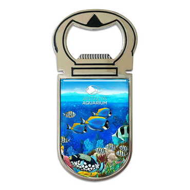 Myros - Aquapark Temalı Myros Metal Açacak Magnet 40x90 mm