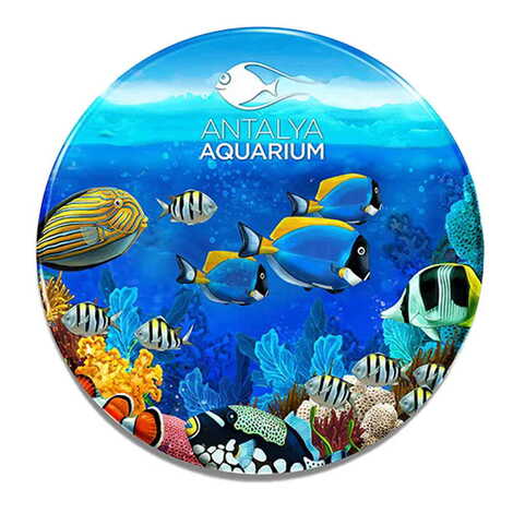 Aquapark Temalı Myros Metal Bardak Altlığı 90 mm
