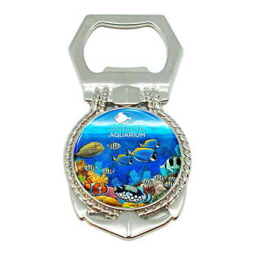 Toptan Aquapark Temalı Myros Çapa Açacak Magnet 40*75 Mm - Myros