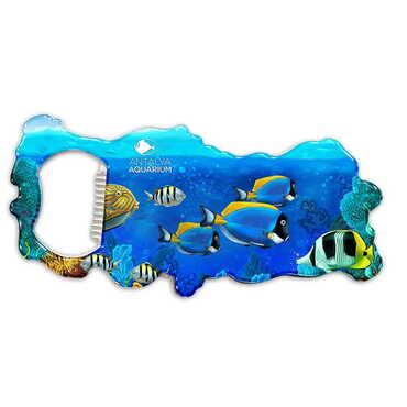 Myros - Aquapark Temalı Myros Metal Harita Açacak Magnet 100x45 mm