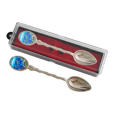 Aquapark Themed Collectible Souvenir Metal Tea Spon With Giftbox 25x130 mm