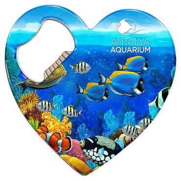 Myros - Aquapark Temalı Myros Metal Kalp Açacak Magnet 85x76 mm