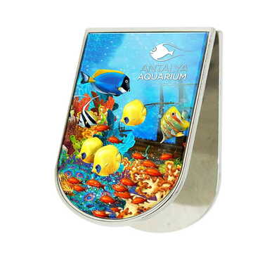 Toptan Aquapark Temalı Myros Metal Kıskaçlı Magnet 40x55 mm - Thumbnail