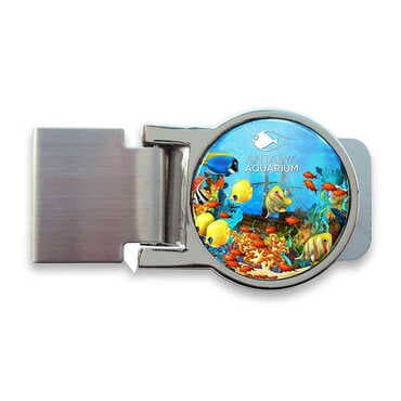 Aquapark Themed Metal Money Clip