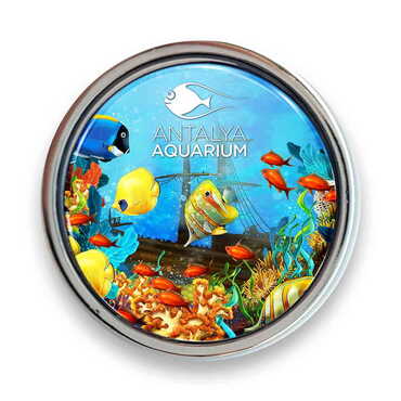 Toptan Aquapark Temalı Myros Metal Yuvarlak Rozet 18 mm - Thumbnail