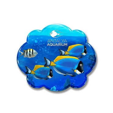 Aquapark Themed Epoxy Dome Cut Out Special Shape Souvenir Fridge Magnet