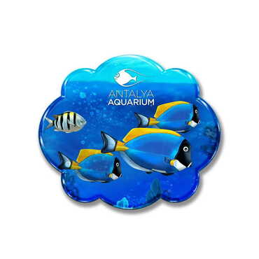 Toptan Aquapark Temalı Myros Özel Kesim Magnet - Myros
