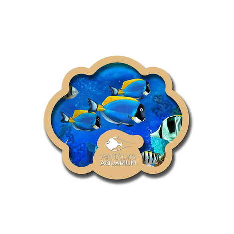 Toptan Aquapark Temalı Myros Resimli Ahşap Magnet - 1
