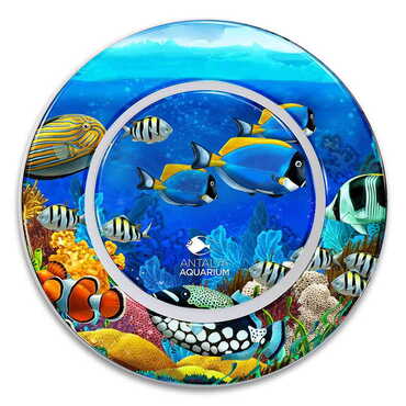 Myros - Aquapark Temalı Myros Seramik Resim Tabak 20 cm