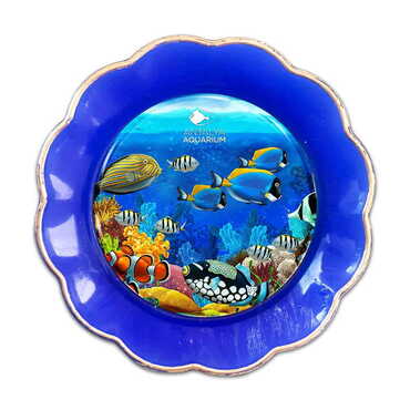 Aquapark Themed Epoxy Dome Plate Shaped Souvenir Fridge Magnet 73 mm
