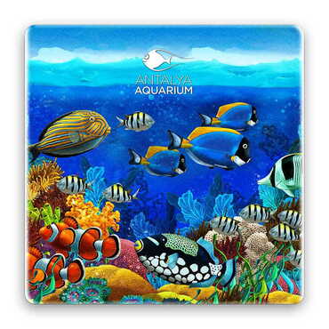 Myros - Aquapark Temalı Myros Taş Magnet 50x50 mm